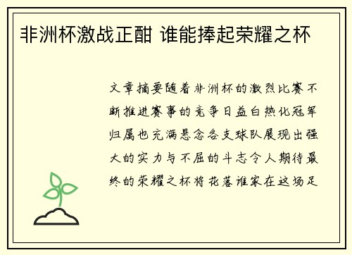 非洲杯激战正酣 谁能捧起荣耀之杯